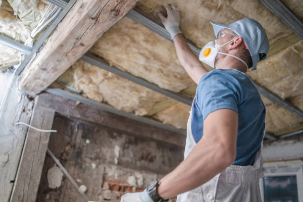 Best Geographic-Specific Insulation Services in Robinson, TX